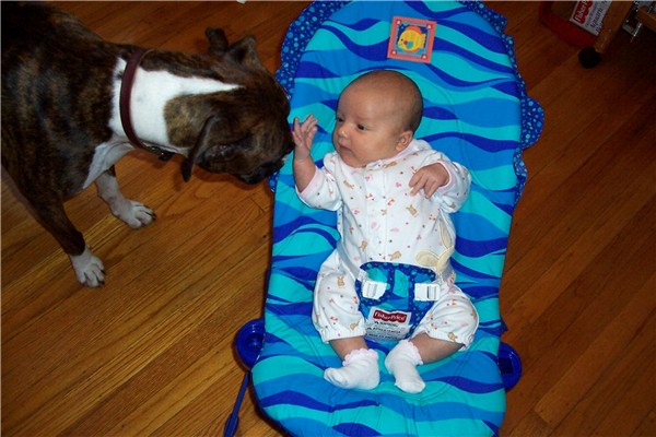 sniffin