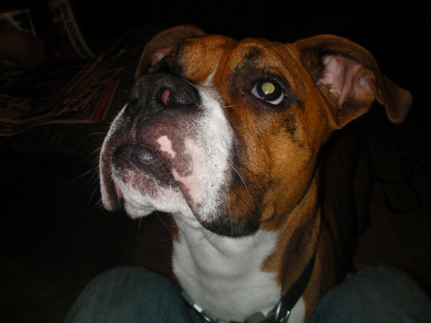 Sniffy face!