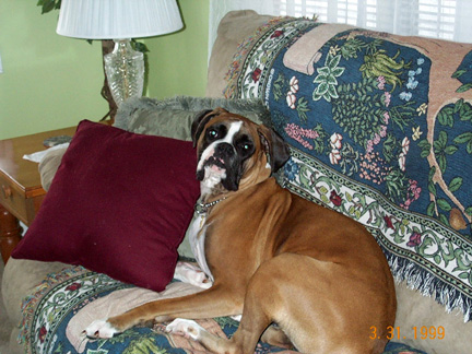 Snoop on the couch