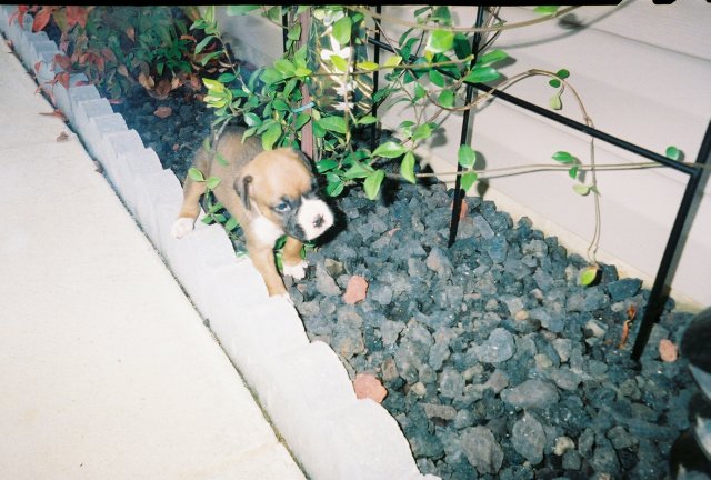 Snooping around