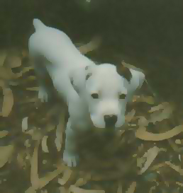 Snoopy #2