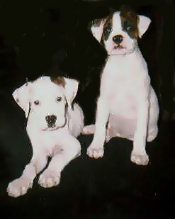 Snoopy & Sacha