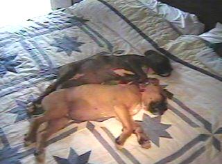 Snooze!!