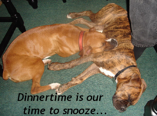 snoozin again
