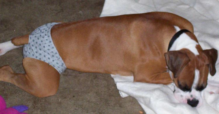 Snoozin in my undies!