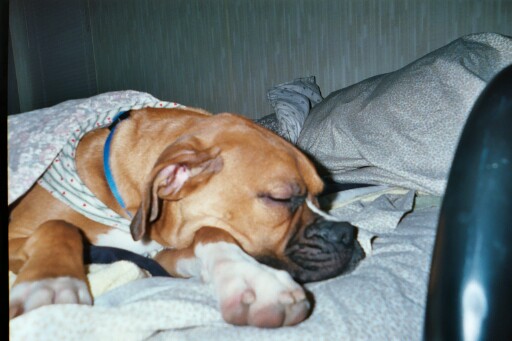 snoozin'