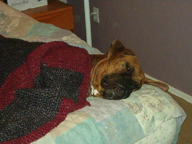 Snoozin