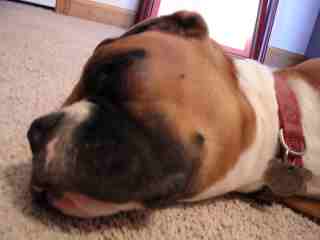 Snoozin'