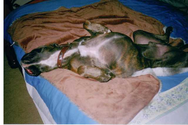 snoozin