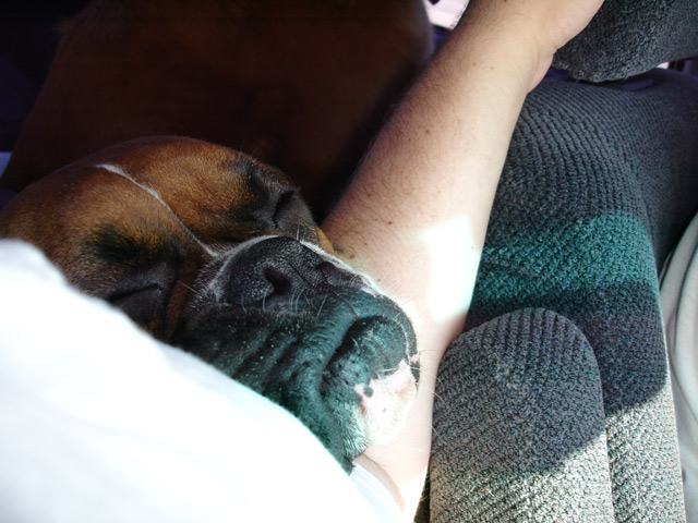 Snoozin