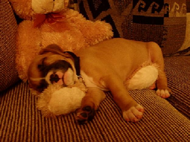 Snoozin'