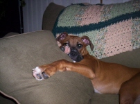 Snoozin'