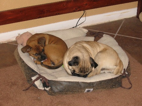 snoozin'