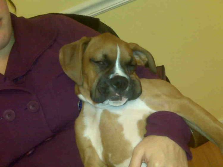 snoozin'!