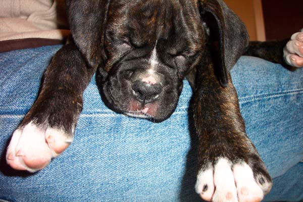 Snoozing on Mommy
