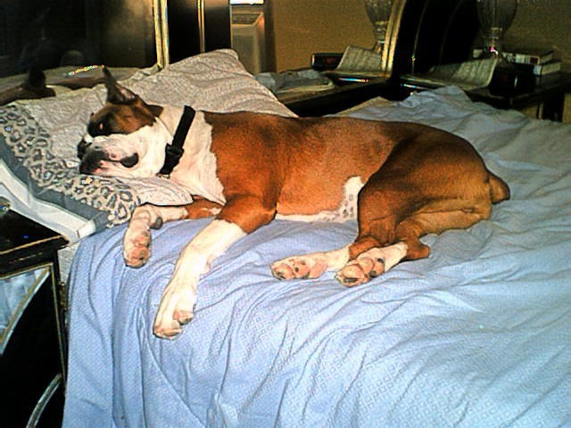 Snoozing