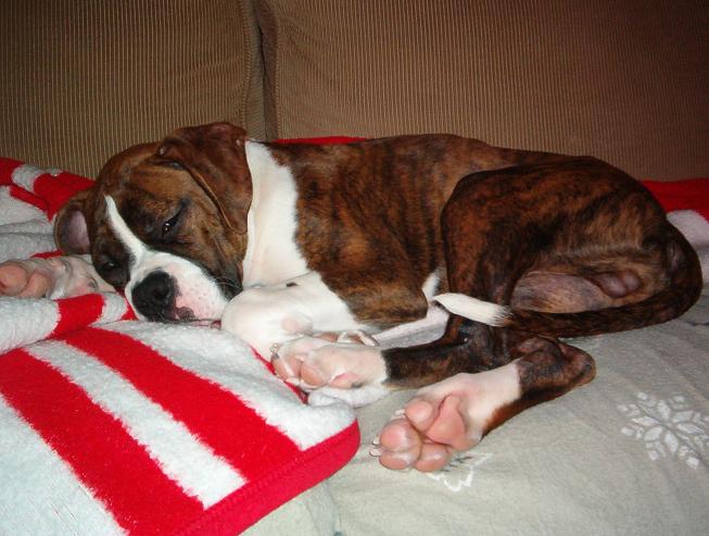 Snoozing!