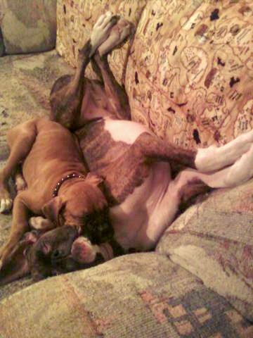snoozing