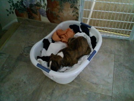Snoozing