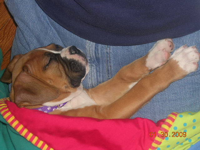 snoozing3