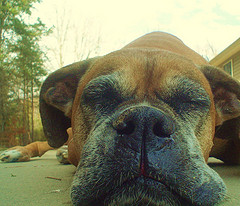 Snoozing5