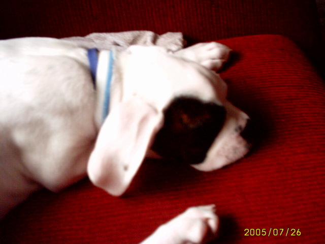 snore...snore