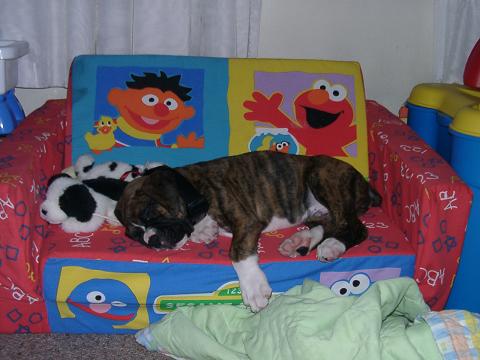 snoring = good sleep