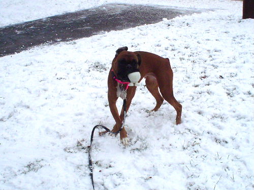 snow and my good cuz