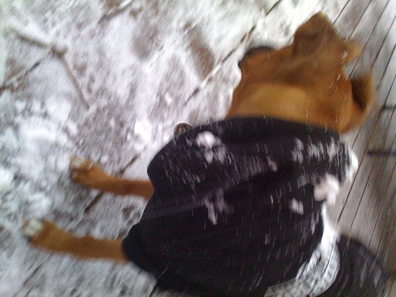 Snow angel