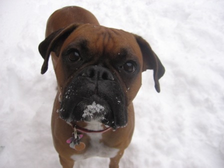 Snow day!