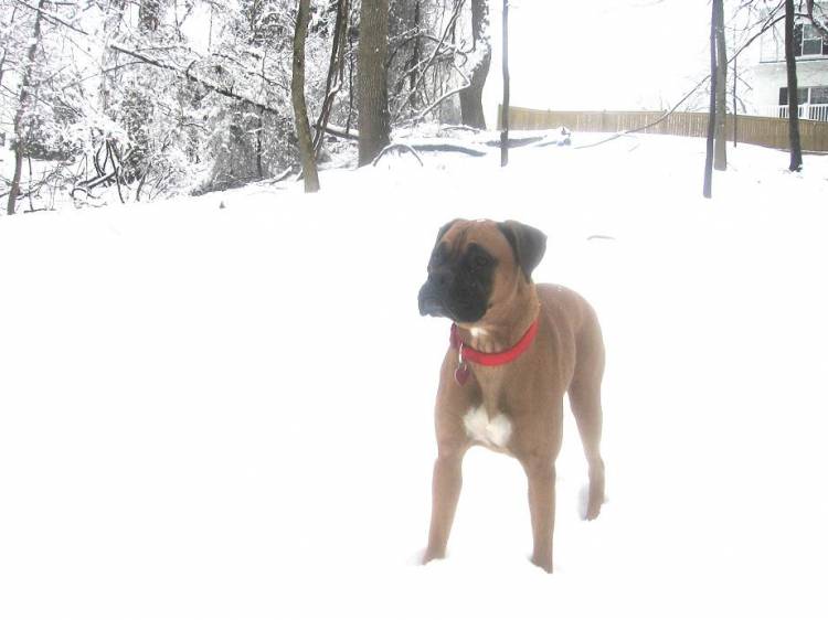 Snow...finally!