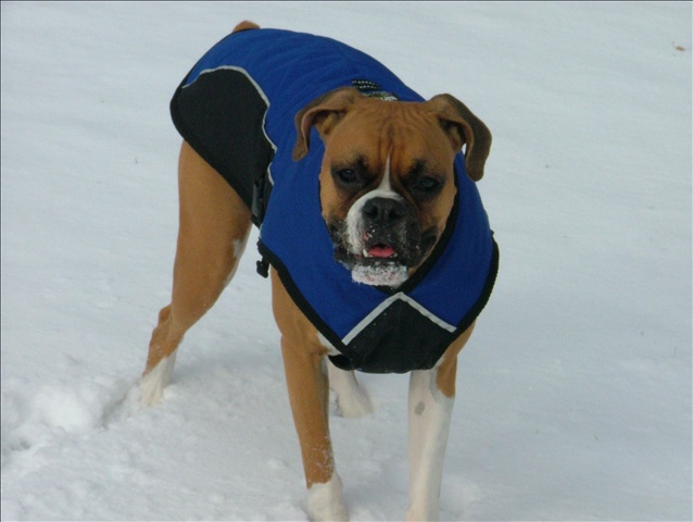 Snow is fun