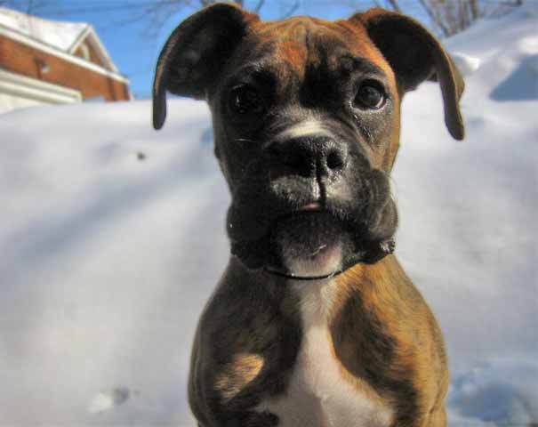 snow is good after all