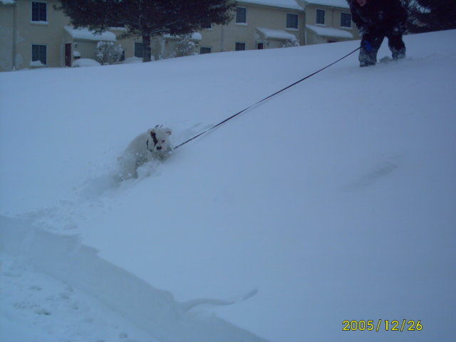 Snow pictures