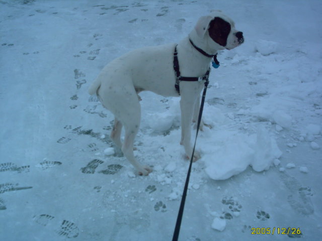 Snow pictures