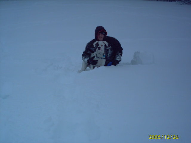 Snow pictures