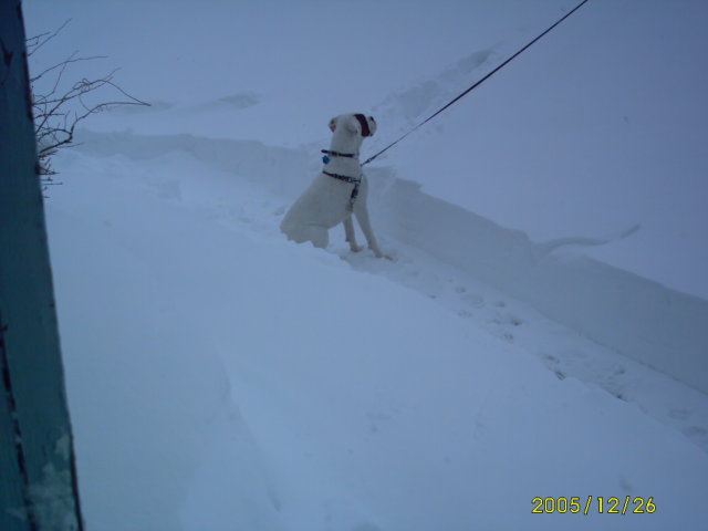 Snow pictures