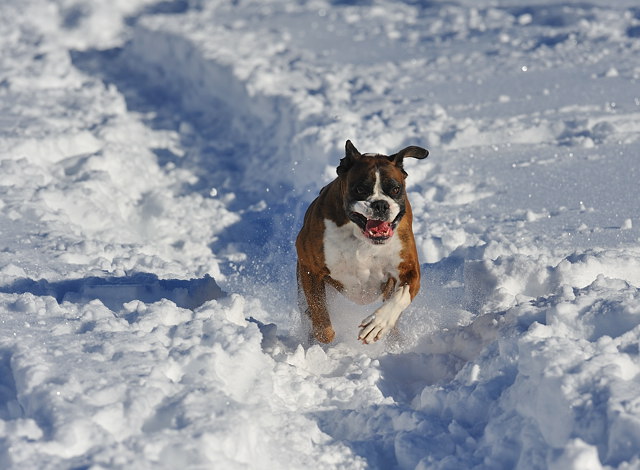 snow plough
