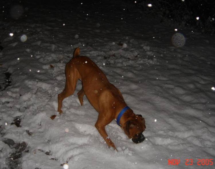 Snow tastes good!