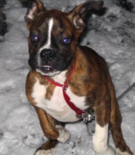 Snow time