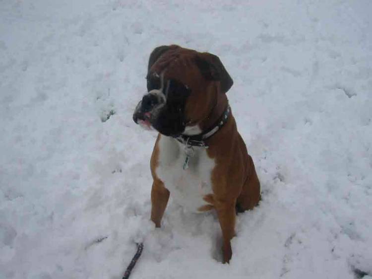 snow time