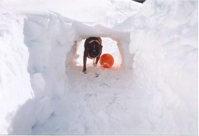 Snow tunnel