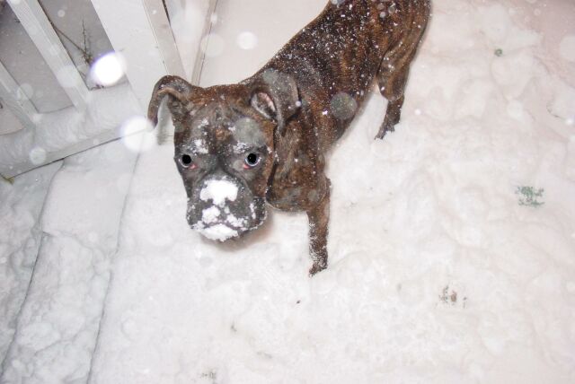 Snow? What snow?