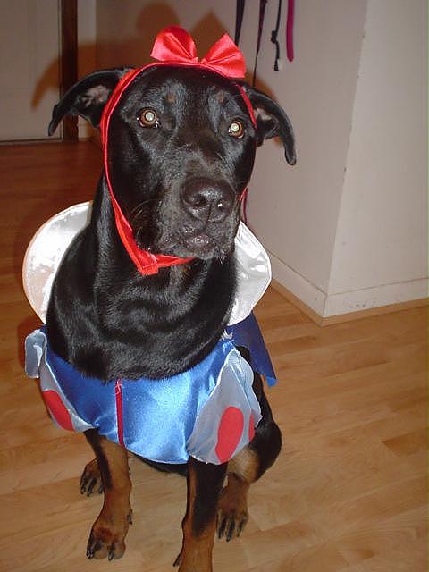 Snow White :)