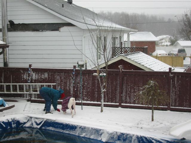 Snow!