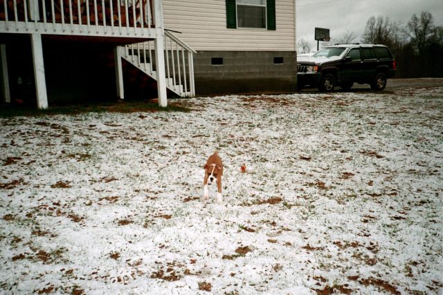 SNOW!!!