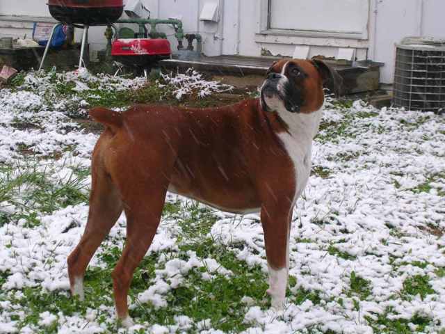 Snow ! !
