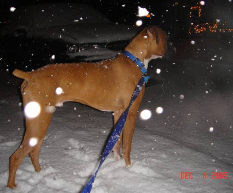 Snow!