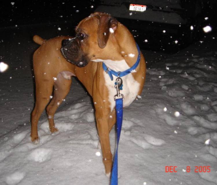 Snow!