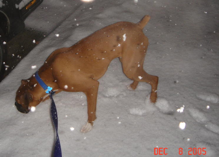 Snow!